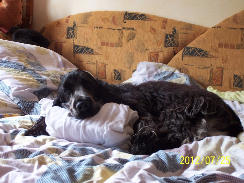 5 Pohodička v posteli.jpg